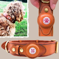 Collare marrone per cane con medaglietta QR Code e NFC