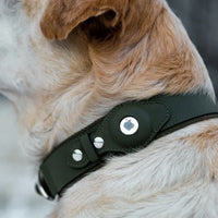 Collare verde Army per cane con alloggio AirTag