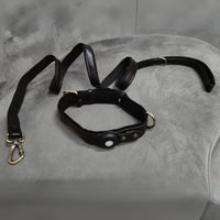 collare e guinzaglio pelle argo nero