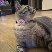 Collare GPS leggero per gatti Pawvella Felix Track, comfort per l'animale