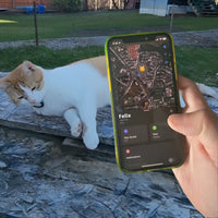 Collare per gatti Pawvella Felix Track con supporto tracker per la localizzazione in tempo reale