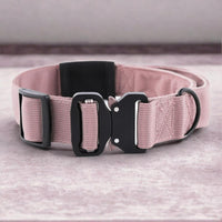 Dettaglio collare in nylon Rex colore rosa