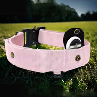 Collare in nylon Rex rosa in un prato