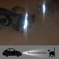 Collare per gatti Pawvella Felix Track con striscia riflettente per una maggiore visibilità