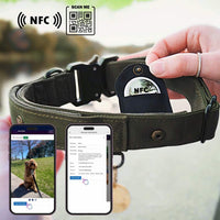 collare in tessuto Rex compatibile con le medagliette QR code e NFC per identificare cane e proprietario