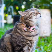 Collare traspirante per gatti Pawvella Felix Track, ideale per tutte le stagioni