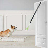 Cane felice corre verso il gioco Power Flex fissato alla porta per un allenamento domestico divertente