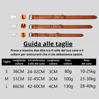Guida alle taglie del collare per cani Argo in pelle, taglie S, M, L con misure e peso consigliato