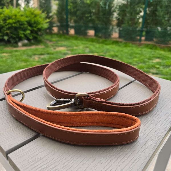 guinzaglio in pelle Argo primo piano