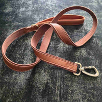 Guinzaglio in pelle argo con interno in cotone