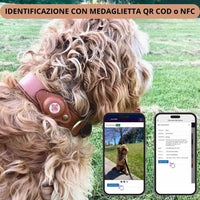 Cane con collare QR Code e NFC e identificazione via smartphone