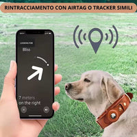 Tracciamento cane su app con collare marrone e AirTag