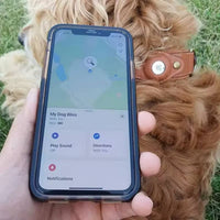 Visualizzazione mappa per rintracciare cane con AirTag