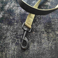 dettaglio del moschettone nero del guinzaglio in tessuto nylon Rex