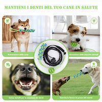 Gioco Power Flex per cani, aiuta a prevenire carie, rimuovere macchie dentali e rafforzare il morso in modo sicuro