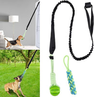 Set completo Power Flex con gioco elastico e palla masticabile per cani, perfetto per casa e giardino