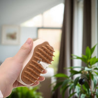 Spazzola Pawvella Paw con funzione vapore per pulizia delicata del pelo