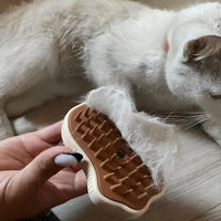 Rimozione del pelo in eccesso con spazzola Pawvella Paw