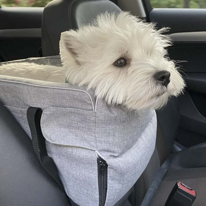Cane comodo nel trasportino Pawvella Paw-Go durante un viaggio in macchina