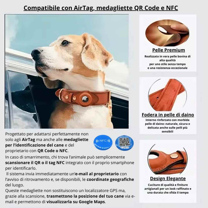  Cane con collare Argo compatibile AirTag, NFC, QR Code, dettagli materiali pelle premium e fodera in pelle