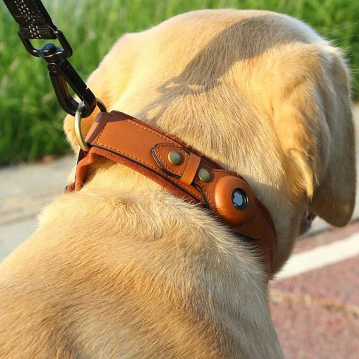 Collare marrone in pelle con AirTag su Labrador al guinzaglio