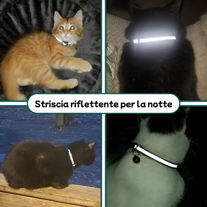 Collare catarifrangente per gatti Pawvella Felix Track, visibilità anche in scarsa luce