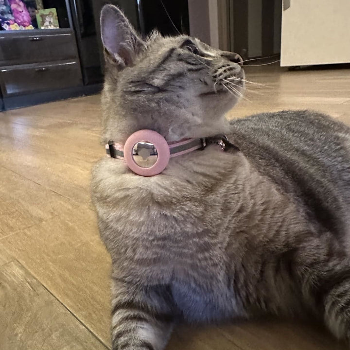Collare GPS leggero per gatti Pawvella Felix Track, comfort per l'animale
