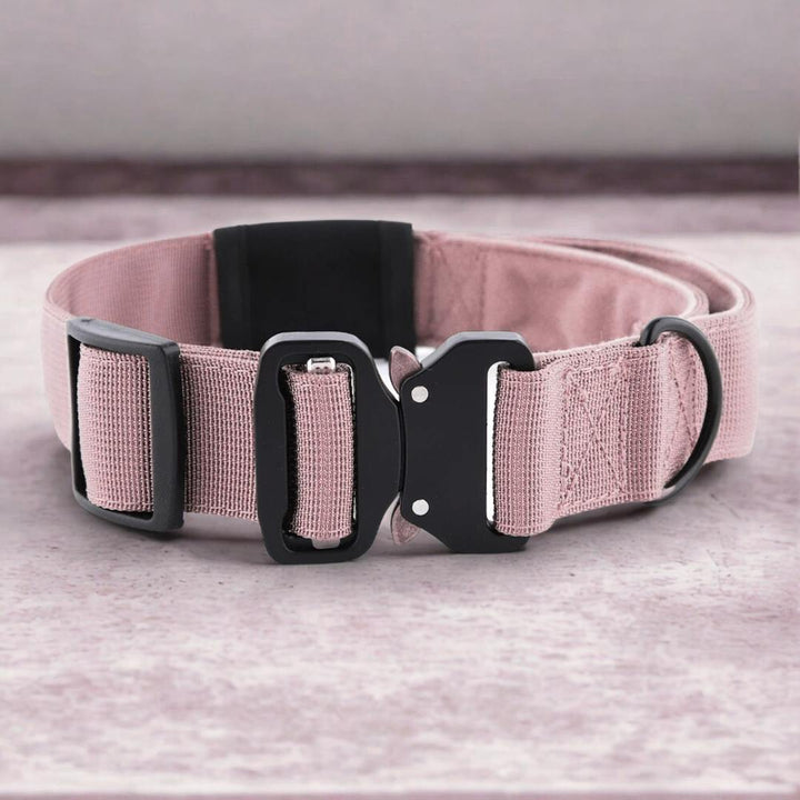 Dettaglio collare in nylon Rex colore rosa
