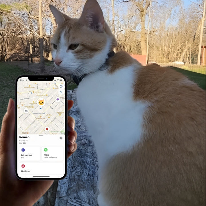 Collare con localizzatore GPS per gatti Pawvella Felix Track, tracciamento in tempo reale