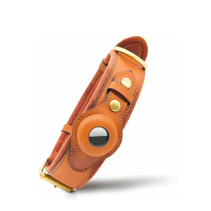 Collare in pelle marrone per cani, design elegante con supporto tracciatore