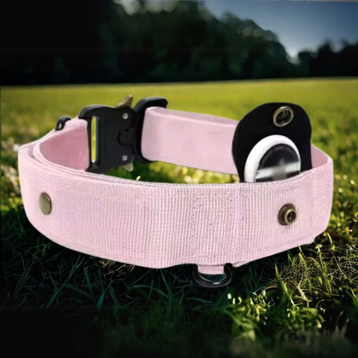 Collare in nylon Rex rosa in un prato