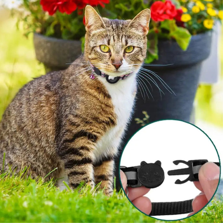 Collare per gatti Pawvella Felix Track con fibbia a sgancio rapido, pratico e sicuro