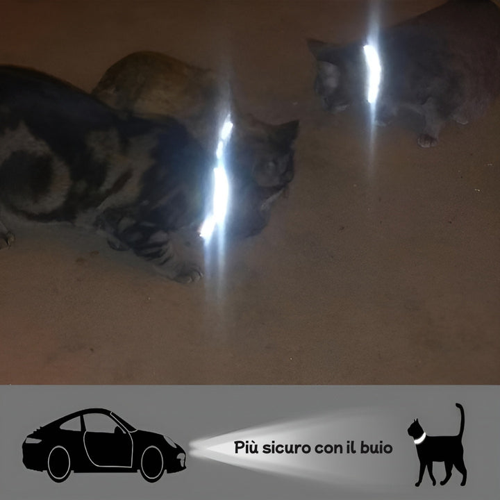 Collare per gatti Pawvella Felix Track con striscia riflettente per una maggiore visibilità