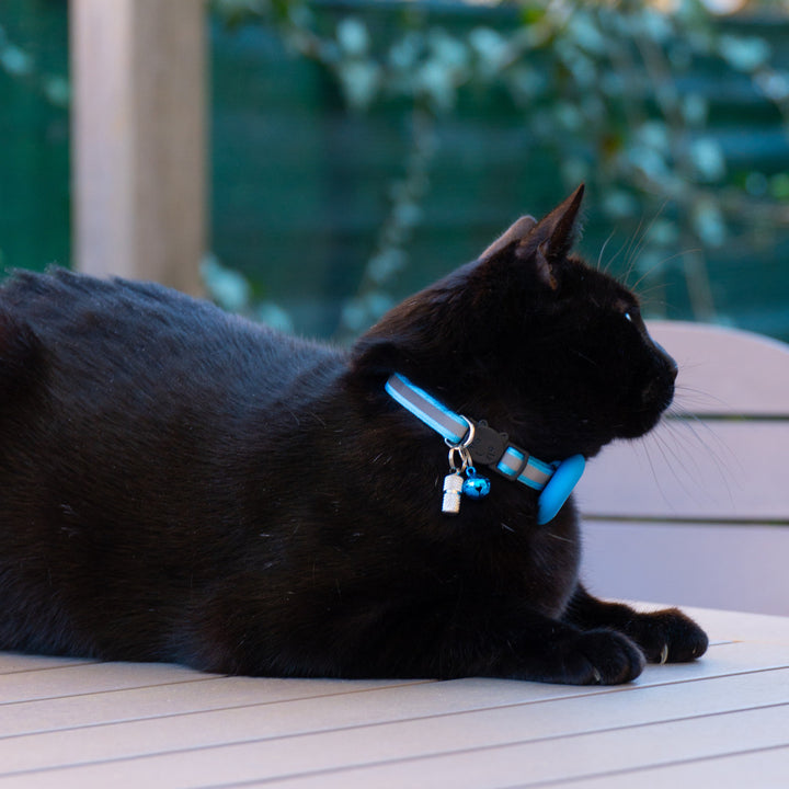 Collare per gatti Pawvella Felix Track ad alta visibilità notturna grazie agli inserti riflettenti