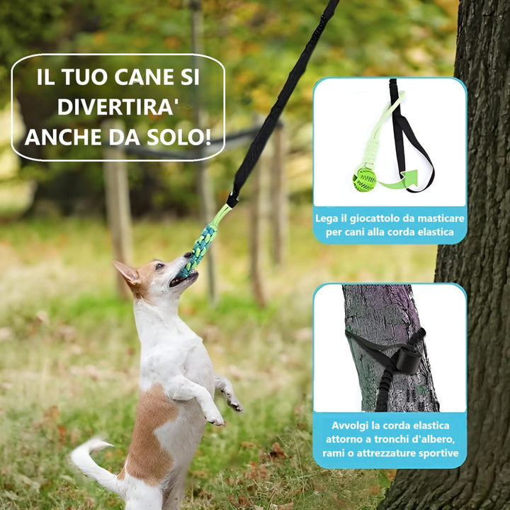 Gioco POWER FLEX per cani che permette al tuo amico a quattro zampe di divertirsi anche da solo