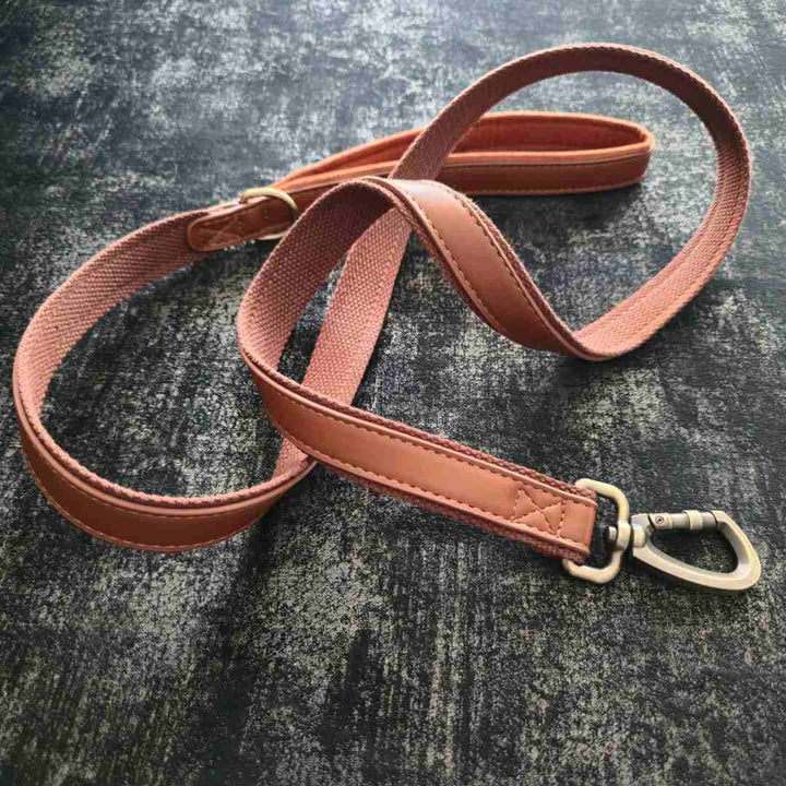 Guinzaglio in pelle argo con interno in cotone