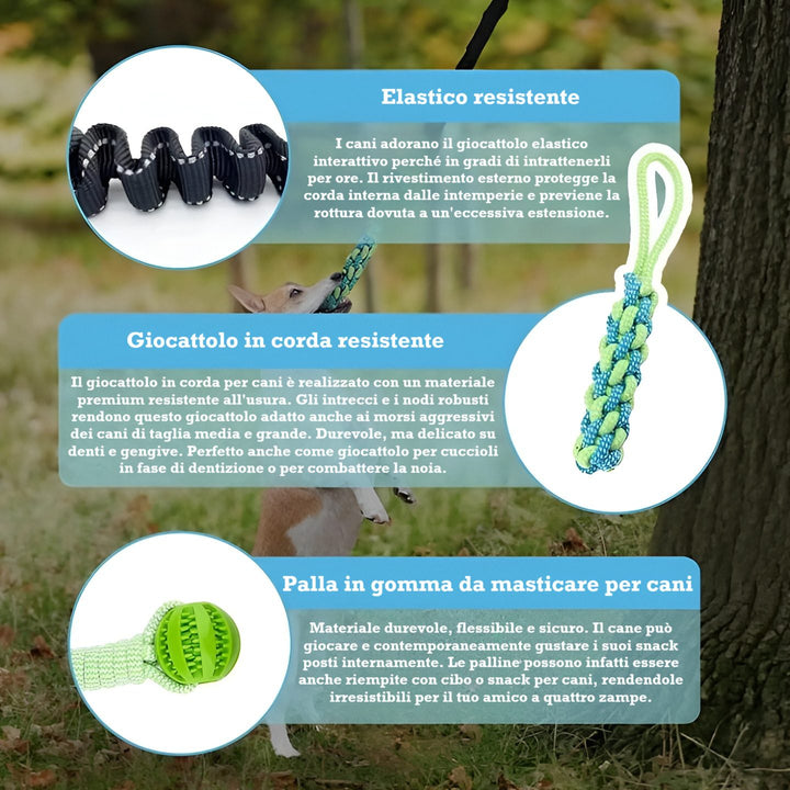 Descrizione dei materiali sicuri e resistenti del gioco POWER FLEX per cani energici