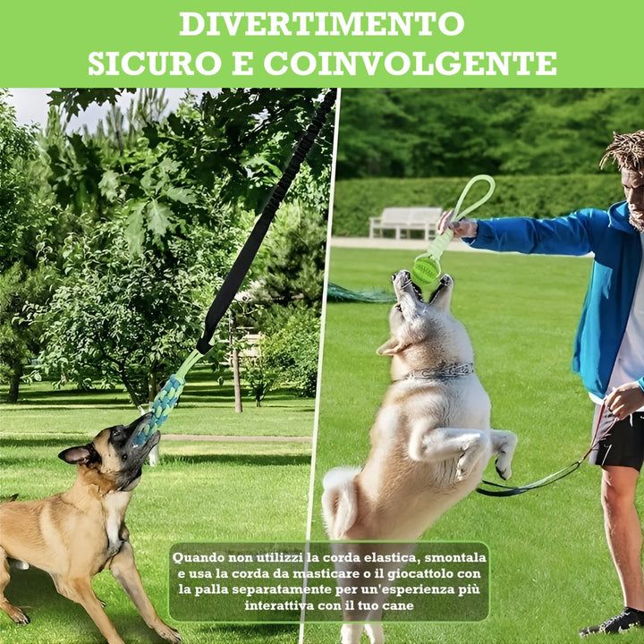 Divertimento sicuro per cani con Power Flex: corda elastica o palla da masticare per stimolare fisico e mente