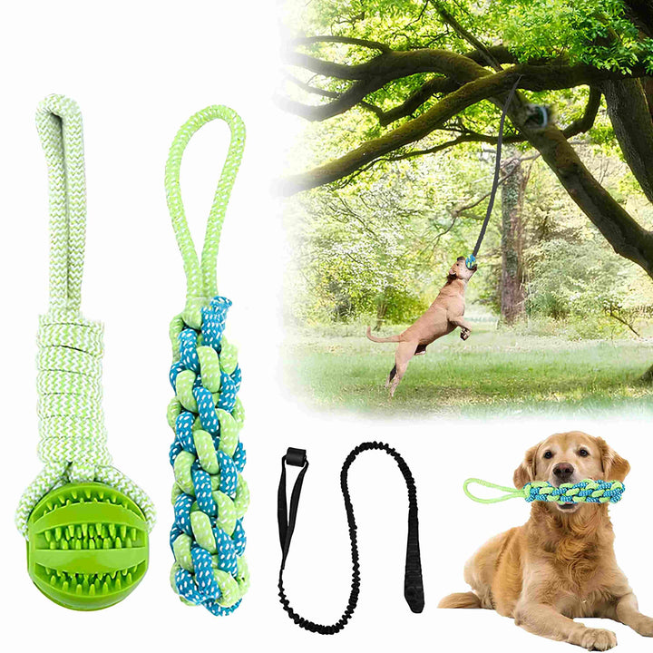 Cane che salta e si diverte all'aperto con il gioco elastico Power Flex fissato a un ramo
