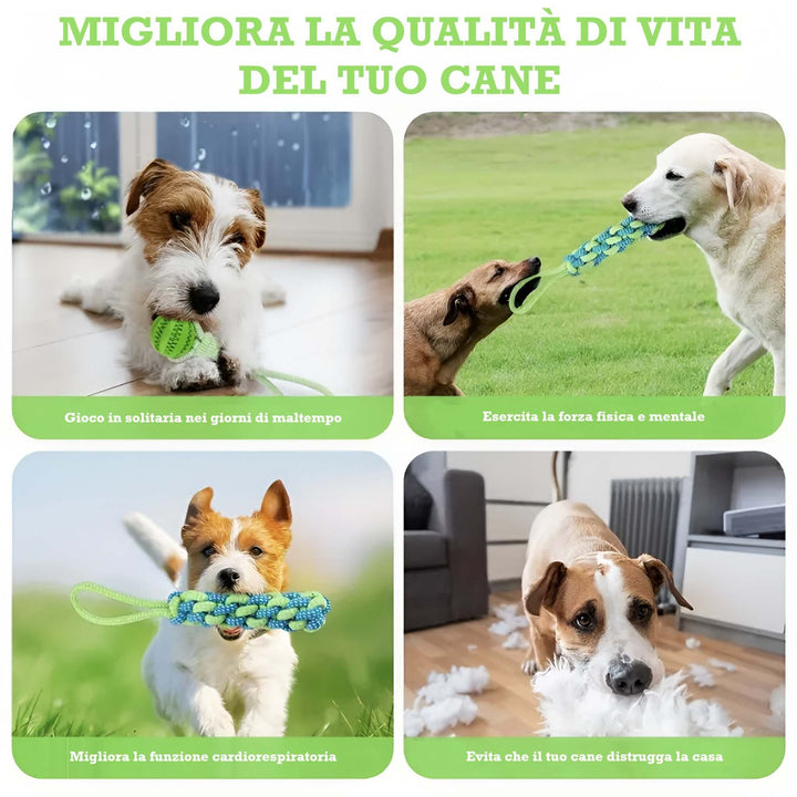 Gioco Power Flex 3 in 1 per cani, migliora la funzione cardiaca, forza fisica e previene comportamenti distruttivi