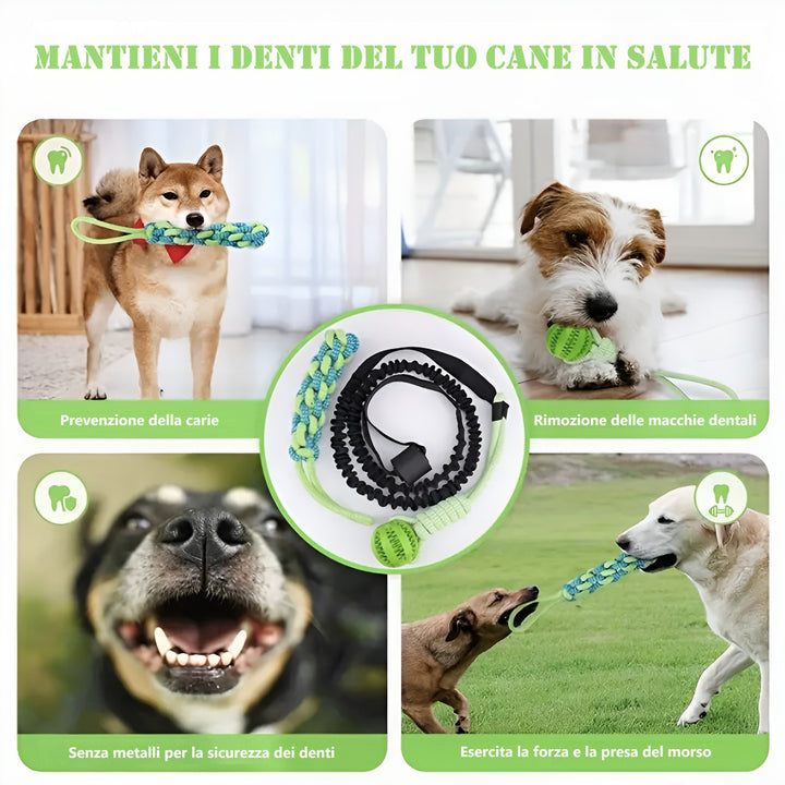 Gioco Power Flex per cani, aiuta a prevenire carie, rimuovere macchie dentali e rafforzare il morso in modo sicuro