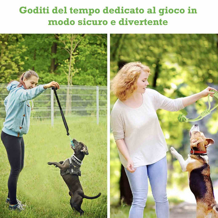 Cane che gioca con il gioco elastico Power Flex, perfetto per attività sicure e divertenti all'aperto