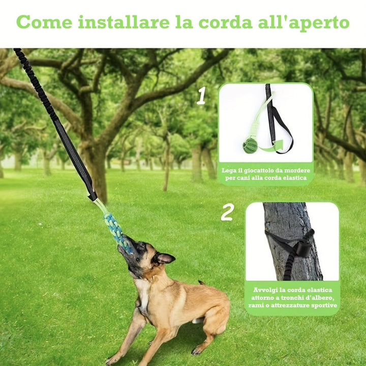 Installazione gioco Power Flex per cani all’aperto: fissaggio semplice a tronchi d’albero per ore di gioco sicuro