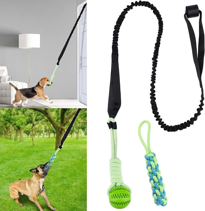 Set completo Power Flex con gioco elastico e palla masticabile per cani, perfetto per casa e giardino