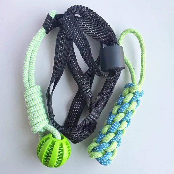Set completo gioco Power Flex per cani, composto da corda elastica, corda intrecciata e palla masticabile resistente