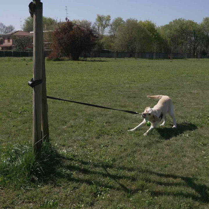 Tiro alla fune in solitaria Power Flex