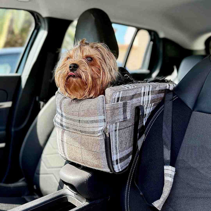 Cane piccolo in trasportino auto beige scozzese fissato al bracciolo centrale per viaggi sicuri