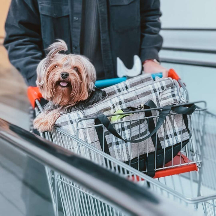 Cane piccolo trasportato in carrello con trasportino beige scozzese durante lo shopping