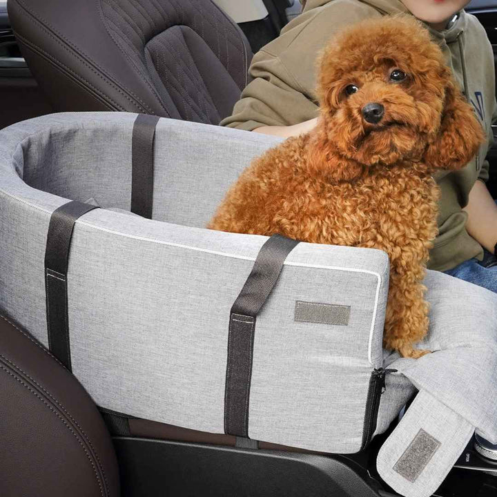 Cane che osserva dalla macchina nel trasportino Pawvella Paw-Go