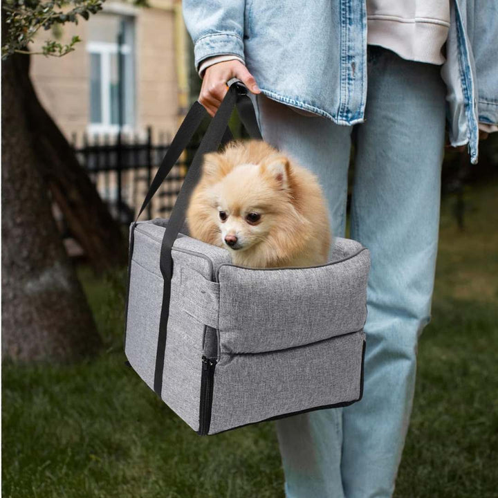 Cane nel trasportino Pawvella Paw-Go portatile, ideale per spostamenti a piedi e in auto